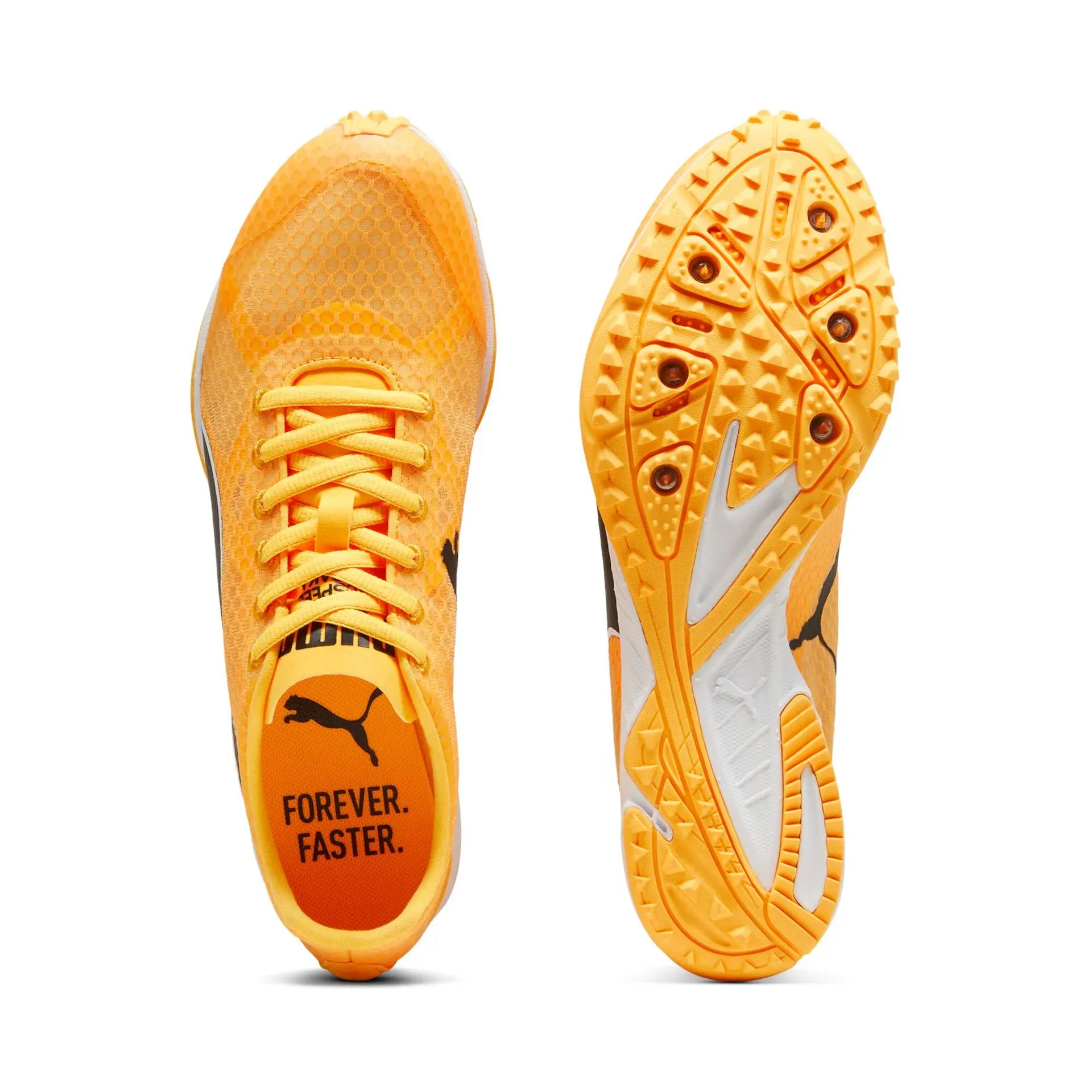 Puma Evo Speed Haraka 8 Long Distance Spike (Unisex) - Orange