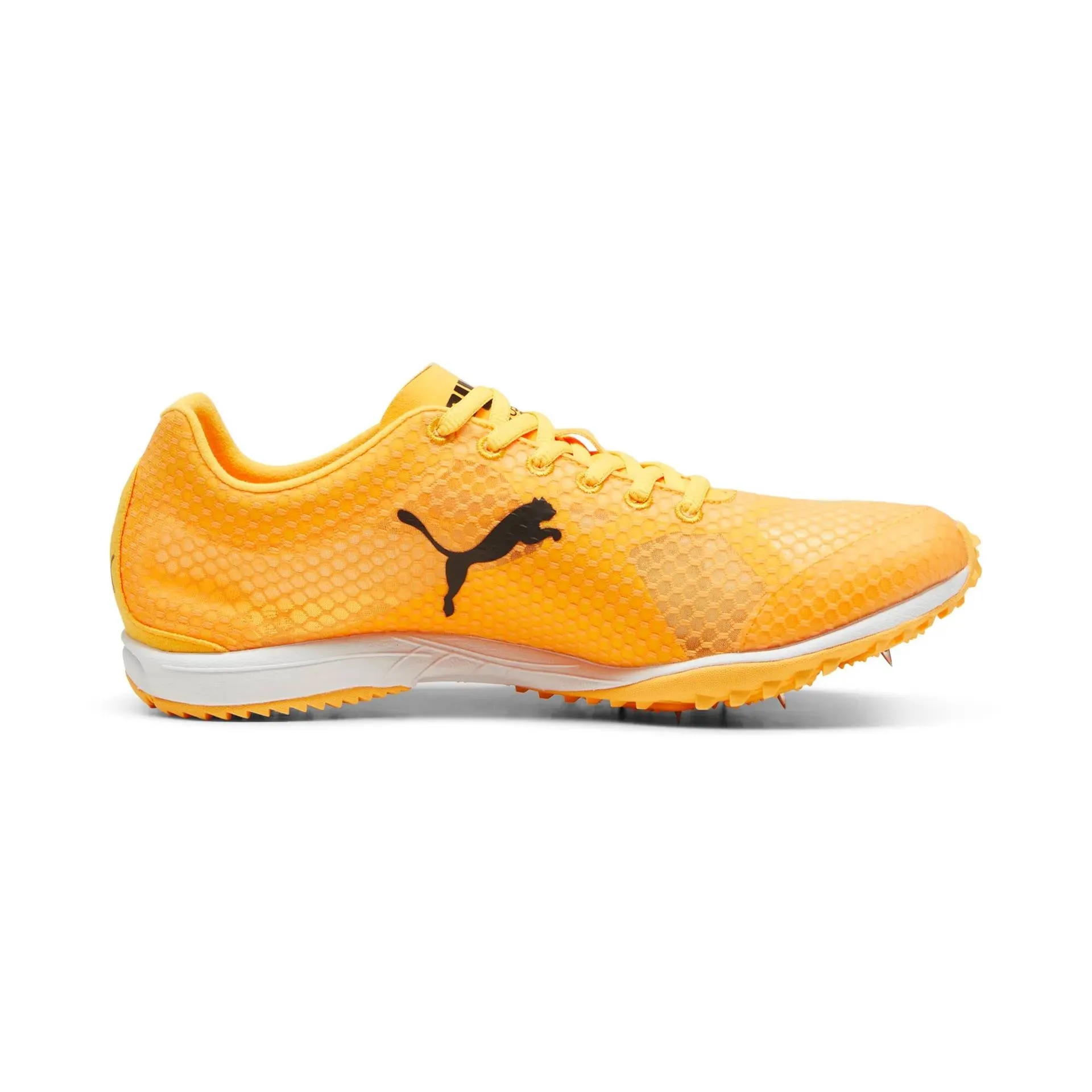 Puma Evo Speed Haraka 8 Long Distance Spike (Unisex) - Orange